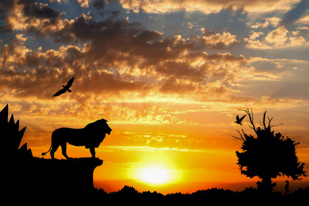 3 Days Sunset over Lions Safari